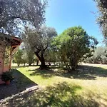 Casa L' Antico Ulivo *