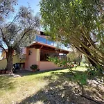 Casa L' Antico Ulivo Lejlighed *