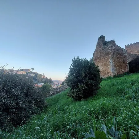 Casa L' Antico Ulivo إيغليزياس