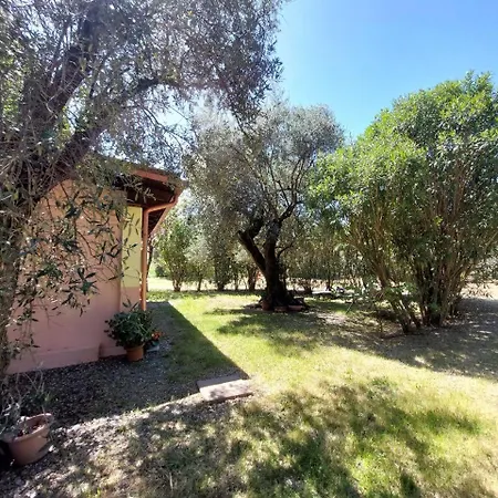 Casa L' Antico Ulivo Iglesias