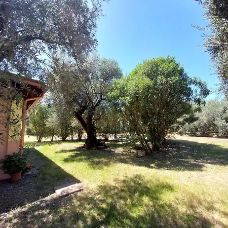 Casa L' Antico Ulivo *