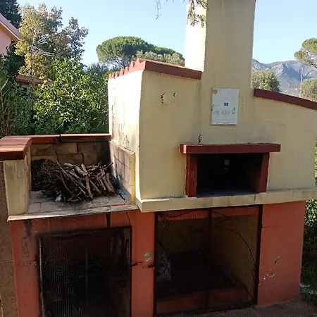 Casa L' Antico Ulivo Apartment