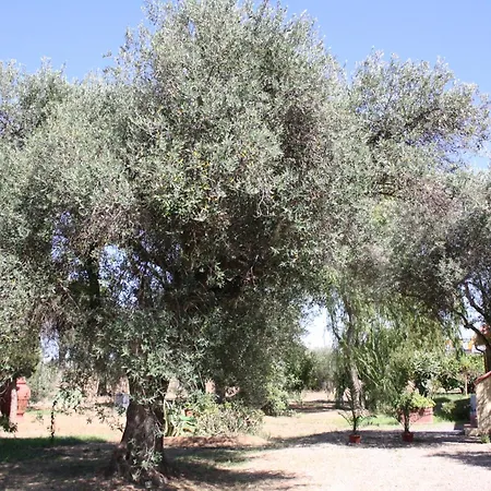 Casa L' Antico Ulivo Appartement Iglesias