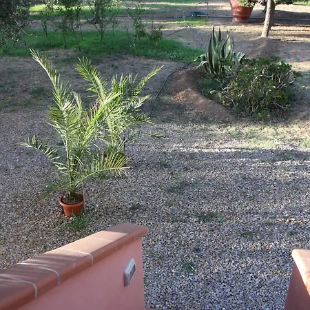 Casa L' Antico Ulivo Appartement