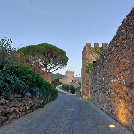 Appartement Casa L' Antico Ulivo