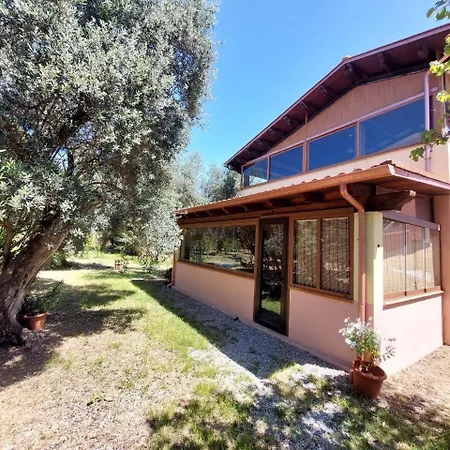 Casa L' Antico Ulivo Apartment