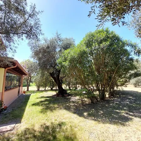 Apartment Casa L' Antico Ulivo Iglesias