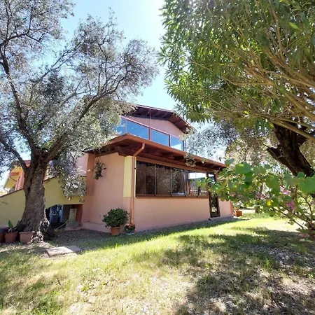 公寓 Casa L' Antico Ulivo *