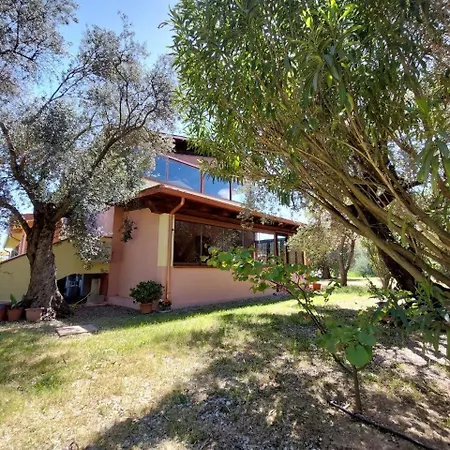 Casa L' Antico Ulivo Apartment *