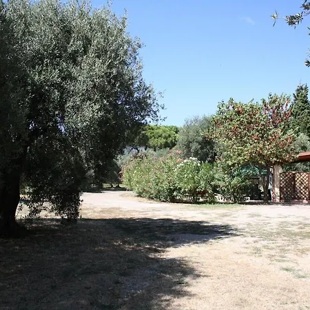 Casa L' Antico Ulivo Iglesias