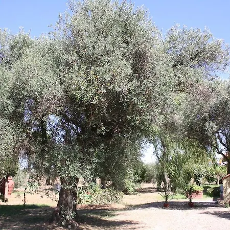 Casa L' Antico Ulivo Appartement Iglesias