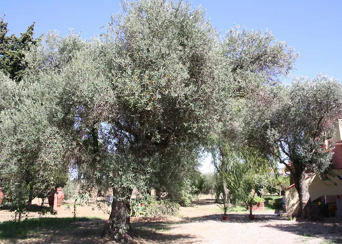 Casa L' Antico Ulivo Daire Iglesias