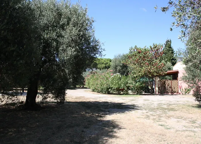 Apartment Casa L' Antico Ulivo