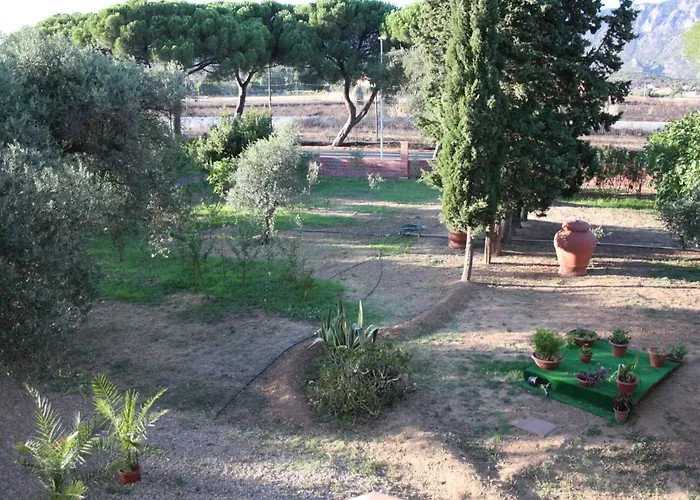 Casa L' Antico Ulivo Iglesias