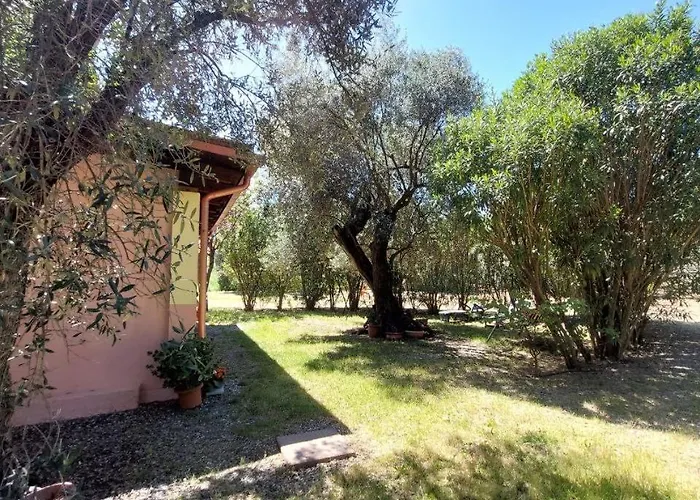 Casa L' Antico Ulivo Iglesias