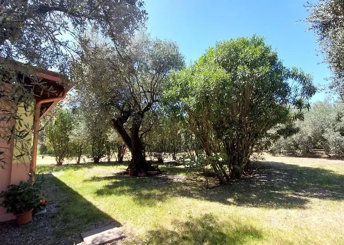 Casa L' Antico Ulivo *
