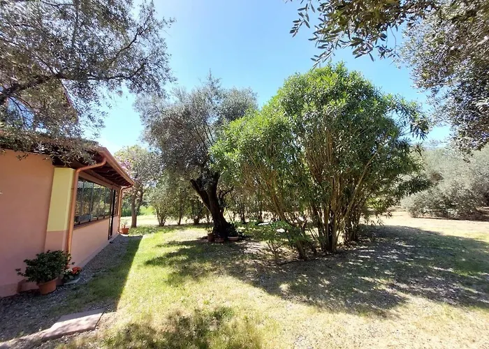 Apartment Casa L' Antico Ulivo Iglesias