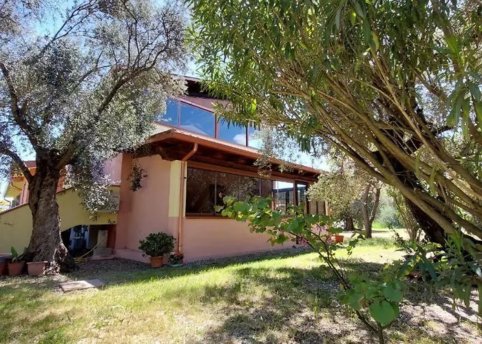 Casa L' Antico Ulivo Daire *